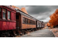 火车卧铺车厢臭虫事件暴露公共卫生管理漏洞和社会治理问题