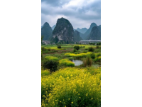 长江上没桥，就不能通火车,人们用轮渡船把火车送到江对岸