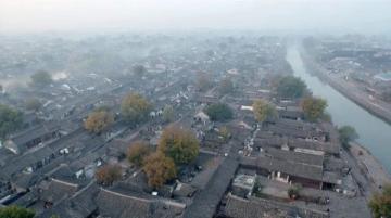 南京野猪泛滥到底该怎么办？