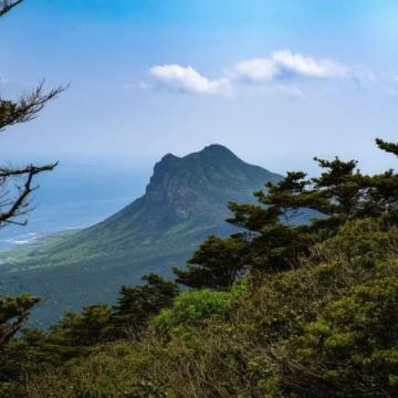2025年6月17日晨从12306网站查询可知,东营-泰山7056次列车、泰山-