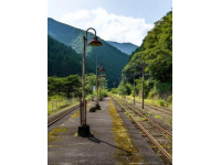 穿越巴山蜀水的绿皮火车之旅：仙境般的清晨奇遇