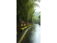 中国铁路成都局集团公布的数据显示，近日被誉为“移动熊猫乐园”的旅游专列，在10月底前所有班次车票已全部售罄。