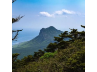 2025年6月17日晨从12306网站查询可知，东营-泰山7056次列车、泰山-