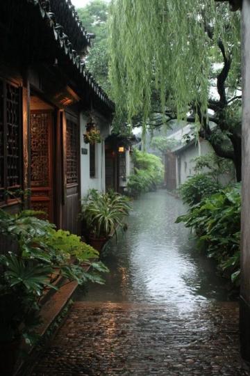 别挤京都了！江浙沪私藏的黄金隧道乘现实版童话列车穿越千年