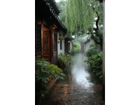 别挤京都了！江浙沪私藏的黄金隧道乘现实版童话列车穿越千年