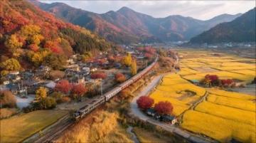 增开老年旅游专列:舒适出行新选择助力银发族畅游美好时光