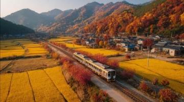 甘洛之旅:西昌至甘洛列车变迁掠影