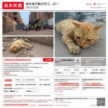 泪目了!2025年4月13日报道,西藏铁路的列车上