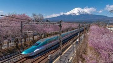 4000余旅客坐着列车赏春景(列车赏春景)