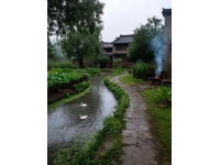 骑行江南水乡：从上海青浦东方绿洲到浙江嘉兴火车站的旅行之旅