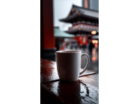 胡同咖啡馆：老北京情怀与现代城市碰撞