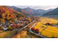 途经岳阳的列车时刻表略有变化_途经岳阳的火车