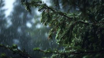 下著大雨的日子