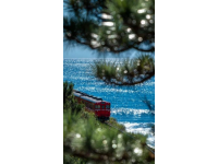 海南宮崎駿海上小火車(chē)：夢(mèng)幻之旅，浪漫治愈體驗(yàn)