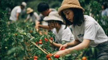 跨省火车菜农故事：揭秘湖南老人贵州卖菜的辛勤日常