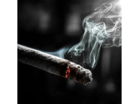 绿皮火车为何不实行全程禁烟政策？