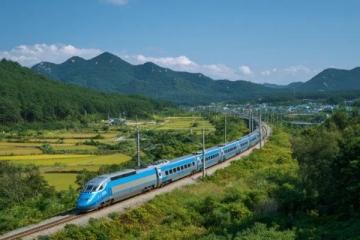 从南宁到大理，动车上信号稳定，百色之后手机不无聊