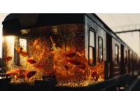 列車餐車突發(fā)大火