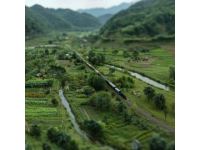 中國(guó)獨(dú)有的“慢火車”：半個(gè)世紀(jì)扶貧路上的溫情符號(hào)