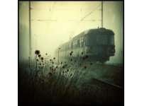 那趟開往秋天的列車(開往秋天列車)