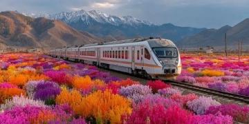 太原至青岛烟台部分列车4月15日至18日临时停运请注意调整行程