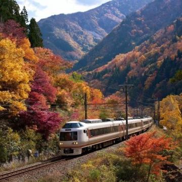 中国游客目击并描述日本高速列车与货车相撞事故现场情况