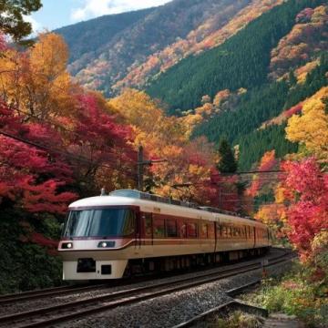 行走的课堂从动车开始！宜昌东站迎来秋季研学出行旺季