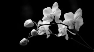 南昌西至昆明南高铁改号为G1681：每日下午2:57发车，全程仅需8小时12分钟