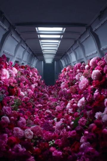 乘坐单轨列车穿越重庆佛图关的花海隧道迎春游