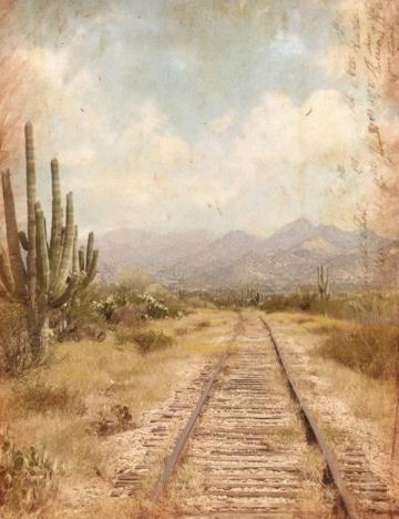 人生如单行列车:一段不可逆的精神旅程