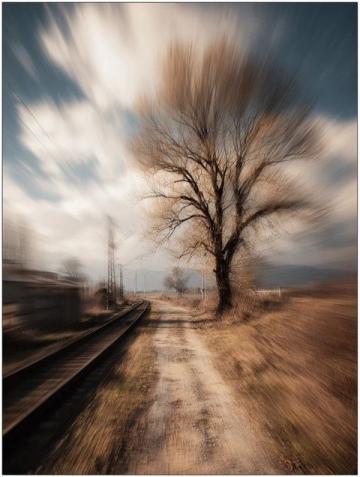 生活如列车奔向未知，工作压力下的孤独与温暖相伴