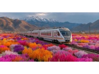 太原至青岛烟台部分列车4月15日至18日临时停运请注意调整行程