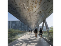 老朋友”的新发现：郑州站的隐藏魅力