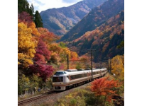 中国游客目击并描述日本高速列车与货车相撞事故现场情况