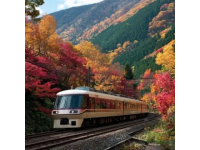 行走的课堂从动车开始！宜昌东站迎来秋季研学出行旺季