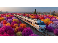 中老铁路开行普惠型国际旅游列车