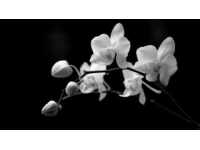 南昌西至昆明南高铁改号为G1681：每日下午2:57发车，全程仅需8小时12分钟