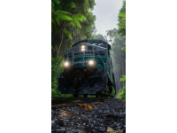 绿皮火车：岁月穿梭的时光机