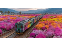 火车抵达西宁后，接到通知，游客原计划去新疆，现在有这三个选择