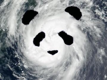 台风“塔巴”肆虐粤地，多趟列车停摆：深湛、广茂线受阻