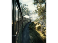 生活列车：未知之旅与随遇而安的艺术