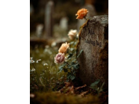 忆旧——久违的绿皮火车