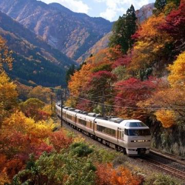 坐上火车漫游中国，秋季美景令人心醉神迷