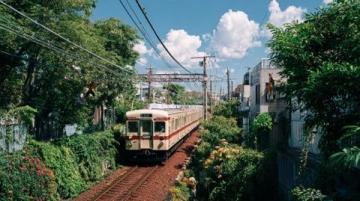 人生如列车：相遇与离别中的生命旅程