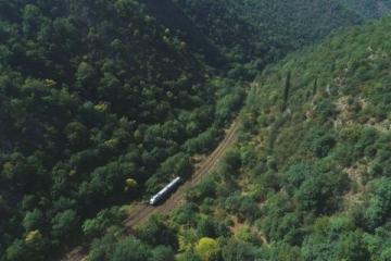 绿皮火车哐当哐当穿过秦岭时，我攥着皱巴巴的地图