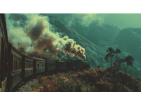 绿皮火车哐当哐当穿过秦岭时，我攥着皱巴巴的地图