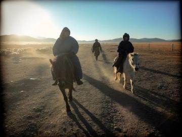 列车穿越戈壁滩:荒凉中的生命力与希望