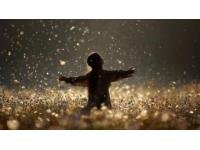 一份感动与感谢——列车遗落挎包的寻回之旅