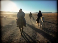 列车穿越戈壁滩：荒凉中的生命力与希望