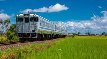 油菜花下的邂逅;列车与油菜花的奇缘